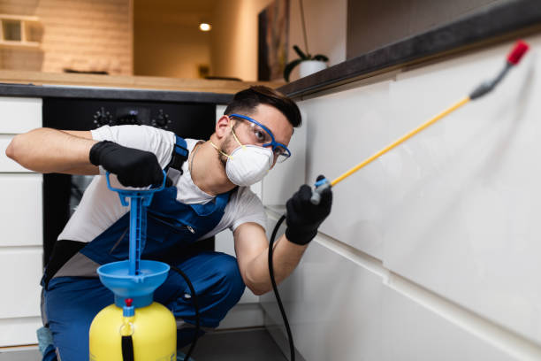 Best Exterminator Services  in Franklin, LA