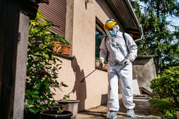 Best Mosquito Control Services  in Franklin, LA