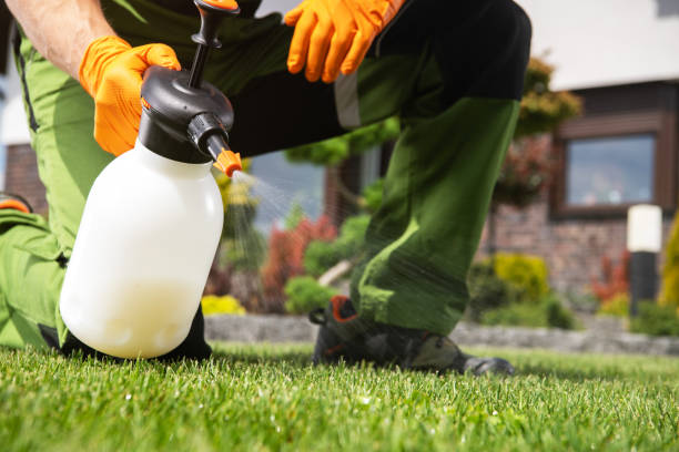 Best Rat Extermination Near Me  in Franklin, LA