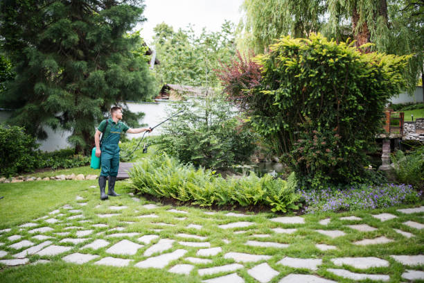 Best Pest Inspection Near Me  in Franklin, LA