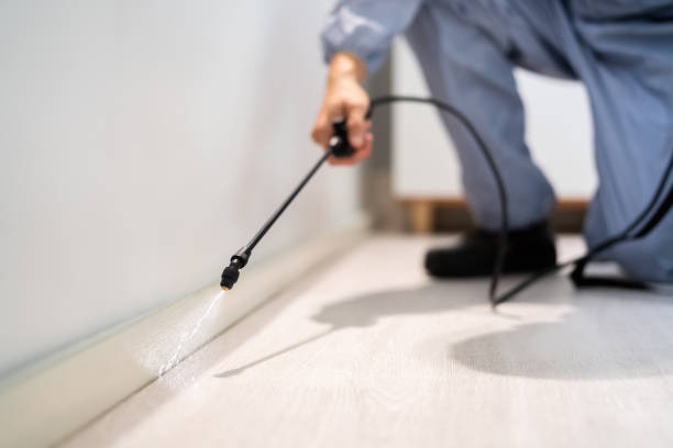 Best Cockroach Control Services  in Franklin, LA