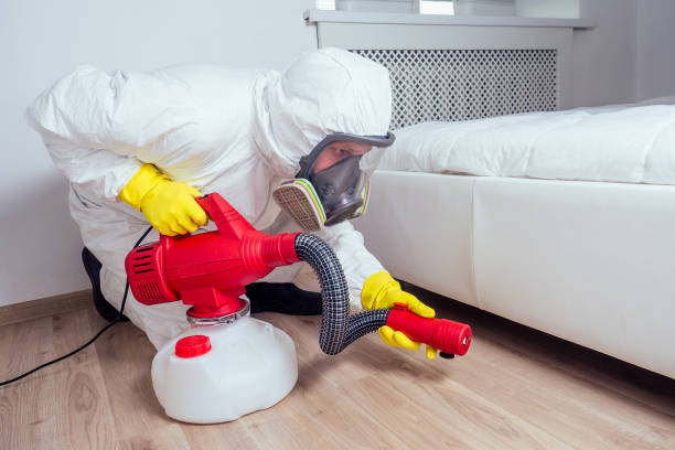 Best Affordable Pest Control Services  in Franklin, LA