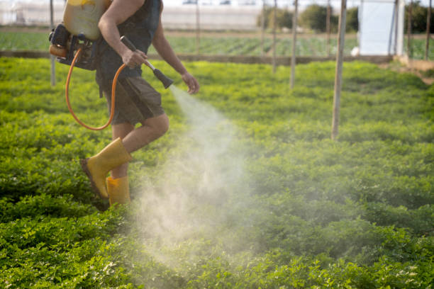 Best Wildlife Control Services  in Franklin, LA
