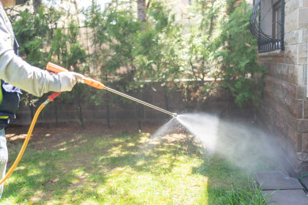 Best Bed Bug Extermination  in Franklin, LA