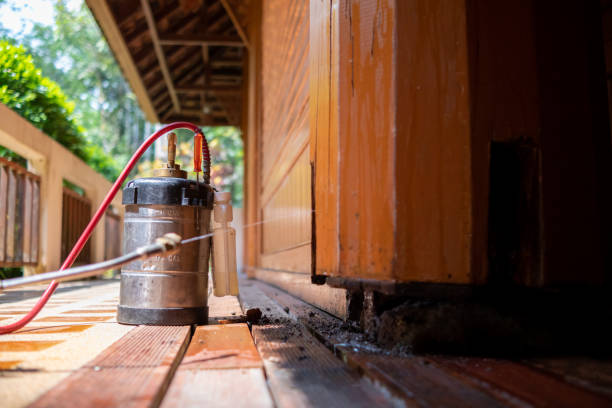 Best Termite Control Services  in Franklin, LA