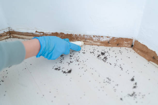 Best Pest Control for Restaurants  in Franklin, LA