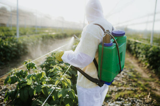 Best Emergency Pest Control  in Franklin, LA